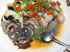 鲜花椒蒸龙趸鱼-任兴记(定西路店)