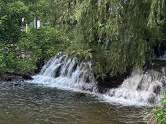 -长白岛森林公园