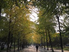 -四川大学(望江校区)