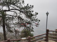 -缙云山景区