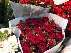 -双季花艺园艺市场(浦东店)