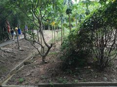 -茂德公草堂
