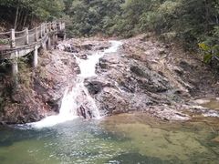 -九龙江国家森林公园