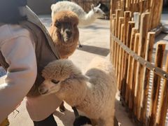 -昆明动物园