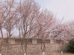 -三里河公园