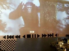 -辛巴桌游剧本娱乐休闲馆(光谷店)