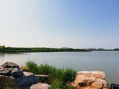 -天津东丽湖风景区