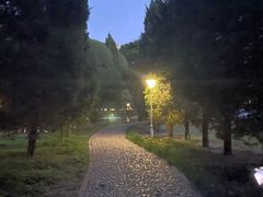 -泰丰公园