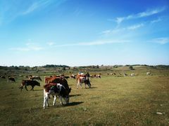 -塞罕坝国家级自然保护区