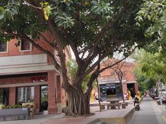 -阿灶卤煮老店·姜母鸭(五店市总店)