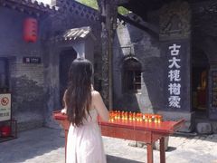 -大槐树寻根祭祖园