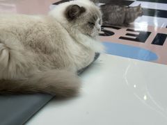 -福田卓悦INTOWN购物中心