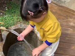 -蒙蒙狮蒙台梭利儿童之家