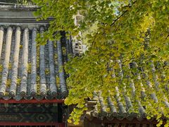 -潭柘寺景区