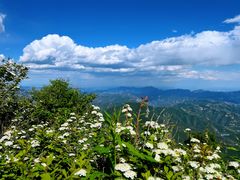 -白草畔自然风景区