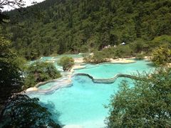 -黄龙山原始森林景区