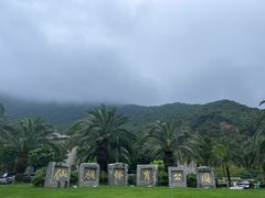 -梧桐山风景名胜区