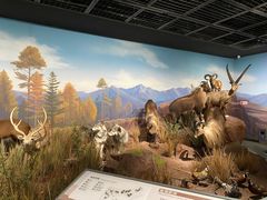 -陕西自然博物馆