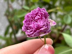 -比斯特上海购物村精品奥特莱斯