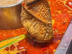 -渝利重庆火锅