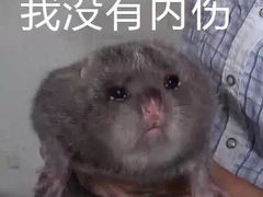 -文三里屯面馆(三里屯店)