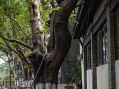 -湖广会馆-东水门及古城墙