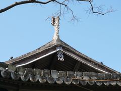 -三垟湿地