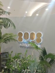 -八佰伴8008星级形象店