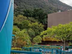 -香港海洋公园