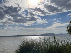 -捞渔河湿地公园