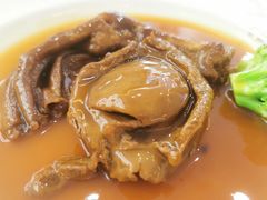 -常胜鲍鱼(吉大店)