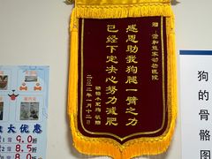 -谐和益家动物医院·免疫绝育·血液透析·宠保定点医院(高新伊藤分院)