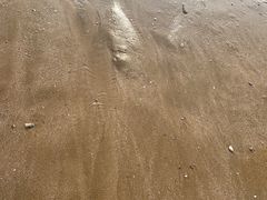 -大沙湾