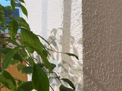 -Cafe on warm(丹霞店)