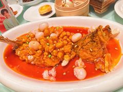 -金鼎轩(方庄天坛店)
