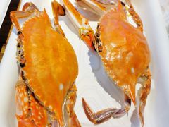 梭子蟹-盒马鲜生(顺义店)