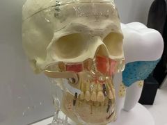-维乐口腔(美维云门诊陆家嘴店)