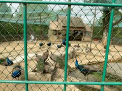 -武汉紫薇都市田园