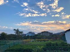 -雨花胜境