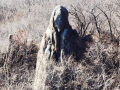 -吉林市朱雀山国家森林公园