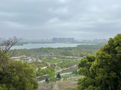 -苏州上方山国家森林公园