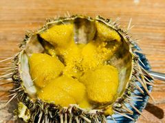海胆-桂马·日本料理·海胆·海鲜饭·酒场(民主广场店)