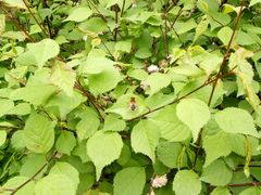 -长春公园(普阳街道)