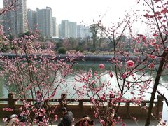 -望江楼公园