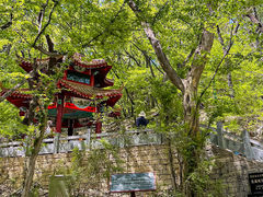 -皇藏峪国家森林公园