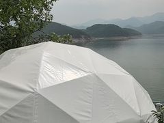 -望湖烤鱼