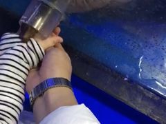 -太奥幻太奇海洋馆