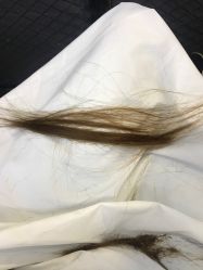 中发-YESIDO椰岛造型