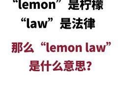 -新东方斯芬克艺术留学作品集培训(郑州校区)