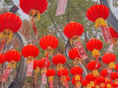 -武汉园博园(武汉自然博物馆)